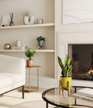 Load image into Gallery viewer, Pixie Petals stand:two_stands
