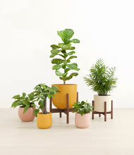 Load image into Gallery viewer, Evening Sky stand:two_stands
