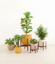 Load image into Gallery viewer, Evening Sky stand:three_stands
