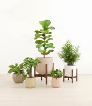 Load image into Gallery viewer, Sandy stand:two_stands
