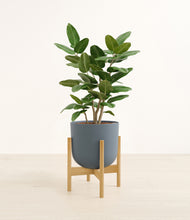 Load image into Gallery viewer, Iron Gray stand:bamboo
