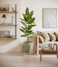 Load image into Gallery viewer, Sage Green stand:bamboo
