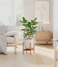 Load image into Gallery viewer, Natural Bamboo stand:bamboo
