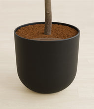 Load image into Gallery viewer, Stone Black stand:all

