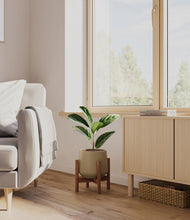 Load image into Gallery viewer, Olive stand:walnut
