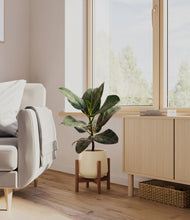 Load image into Gallery viewer, Almond Green stand:dark
