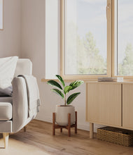 Load image into Gallery viewer, Eternal Gray stand:walnut
