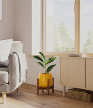 Load image into Gallery viewer, Mustard stand:walnut
