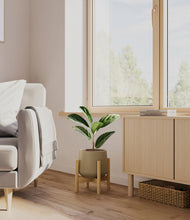Load image into Gallery viewer, Olive stand:bamboo
