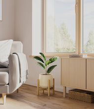 Load image into Gallery viewer, Almond Green stand:bamboo
