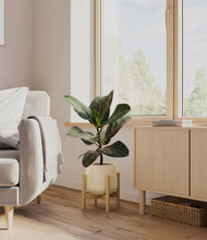 Load image into Gallery viewer, Almond Green stand:light
