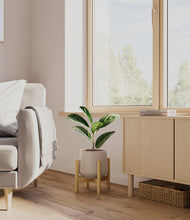 Load image into Gallery viewer, Eternal Gray stand:bamboo
