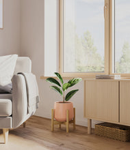 Load image into Gallery viewer, Calm Rose stand:bamboo
