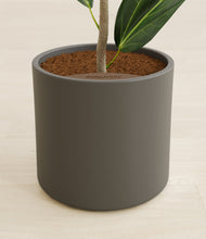 Load image into Gallery viewer, Dark Olive stand:all
