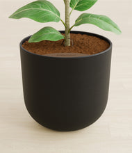 Load image into Gallery viewer, Stone Black stand:all
