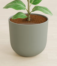 Load image into Gallery viewer, Sage Green stand:all
