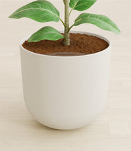 Load image into Gallery viewer, Natural Bamboo stand:all
