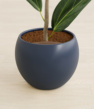 Load image into Gallery viewer, Deep Navy stand:all
