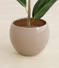 Load image into Gallery viewer, Desert Brown stand:all
