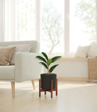 Load image into Gallery viewer, Black stand:walnut
