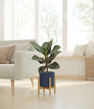 Load image into Gallery viewer, Deep Navy stand:light
