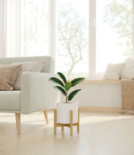 Load image into Gallery viewer, White stand:bamboo
