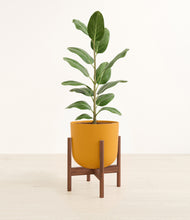 Load image into Gallery viewer, Sunset Orange stand:walnut
