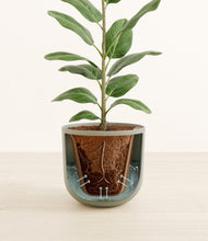 Load image into Gallery viewer, Sage Green stand:all
