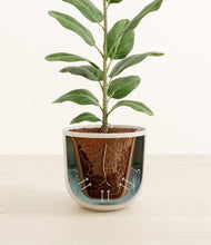 Load image into Gallery viewer, Natural Bamboo stand:all
