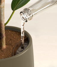 Load image into Gallery viewer, Olive stand:all
