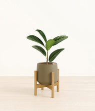 Load image into Gallery viewer, Olive stand:bamboo
