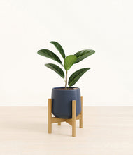Load image into Gallery viewer, Deep Navy stand:bamboo
