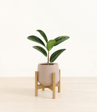 Load image into Gallery viewer, Eternal Gray stand:bamboo
