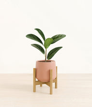 Load image into Gallery viewer, Calm Rose stand:bamboo

