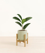 Load image into Gallery viewer, Turquoise stand:bamboo
