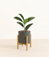 Load image into Gallery viewer, Dark Olive stand:bamboo
