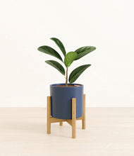 Load image into Gallery viewer, Deep Navy stand:bamboo
