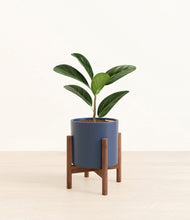 Load image into Gallery viewer, Deep Navy stand:walnut
