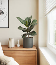 Load image into Gallery viewer, Dark Olive
