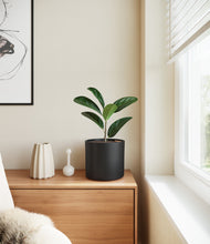 Load image into Gallery viewer, Black
