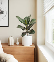 Load image into Gallery viewer, White

