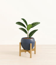 Load image into Gallery viewer, Deep Navy stand:bamboo
