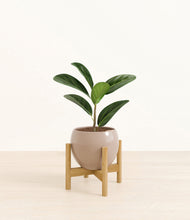 Load image into Gallery viewer, Desert Brown stand:bamboo
