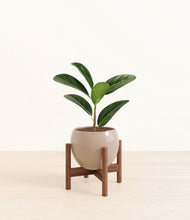 Load image into Gallery viewer, Desert Brown stand:walnut
