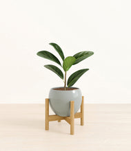 Load image into Gallery viewer, Deep Ocean stand:bamboo

