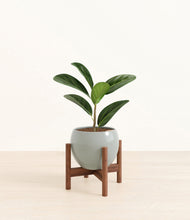 Load image into Gallery viewer, Deep Ocean stand:walnut
