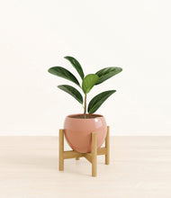 Load image into Gallery viewer, Calm Rose stand:bamboo
