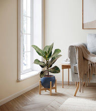 Load image into Gallery viewer, Deep Navy stand:light
