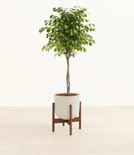 Load image into Gallery viewer, Natural Bamboo stand:walnut
