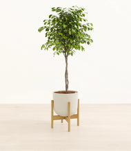 Load image into Gallery viewer, Natural Bamboo stand:bamboo
